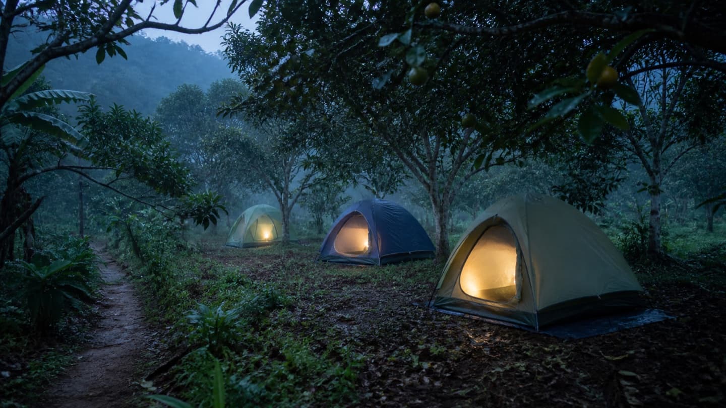 Tents pitched among the garden's trees towards evening